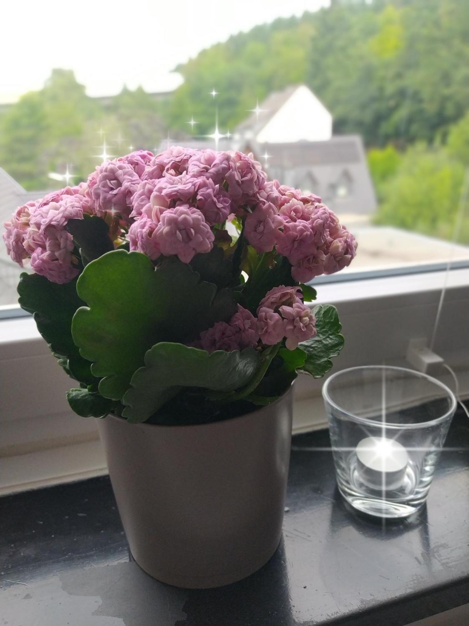 Ruhe Am Walde Apartment Meschede Luaran gambar